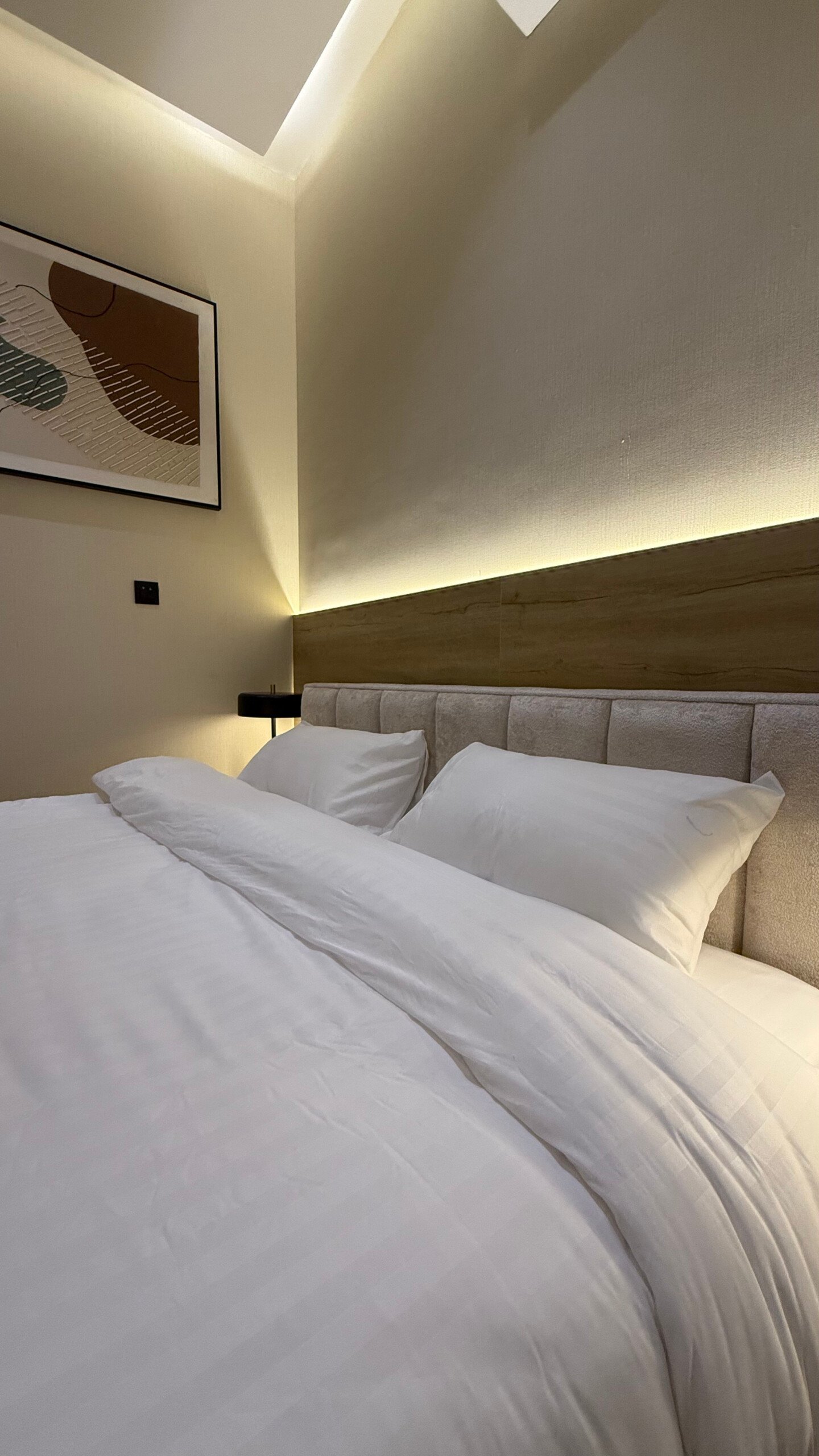 Apartment 8 – Suite Plus